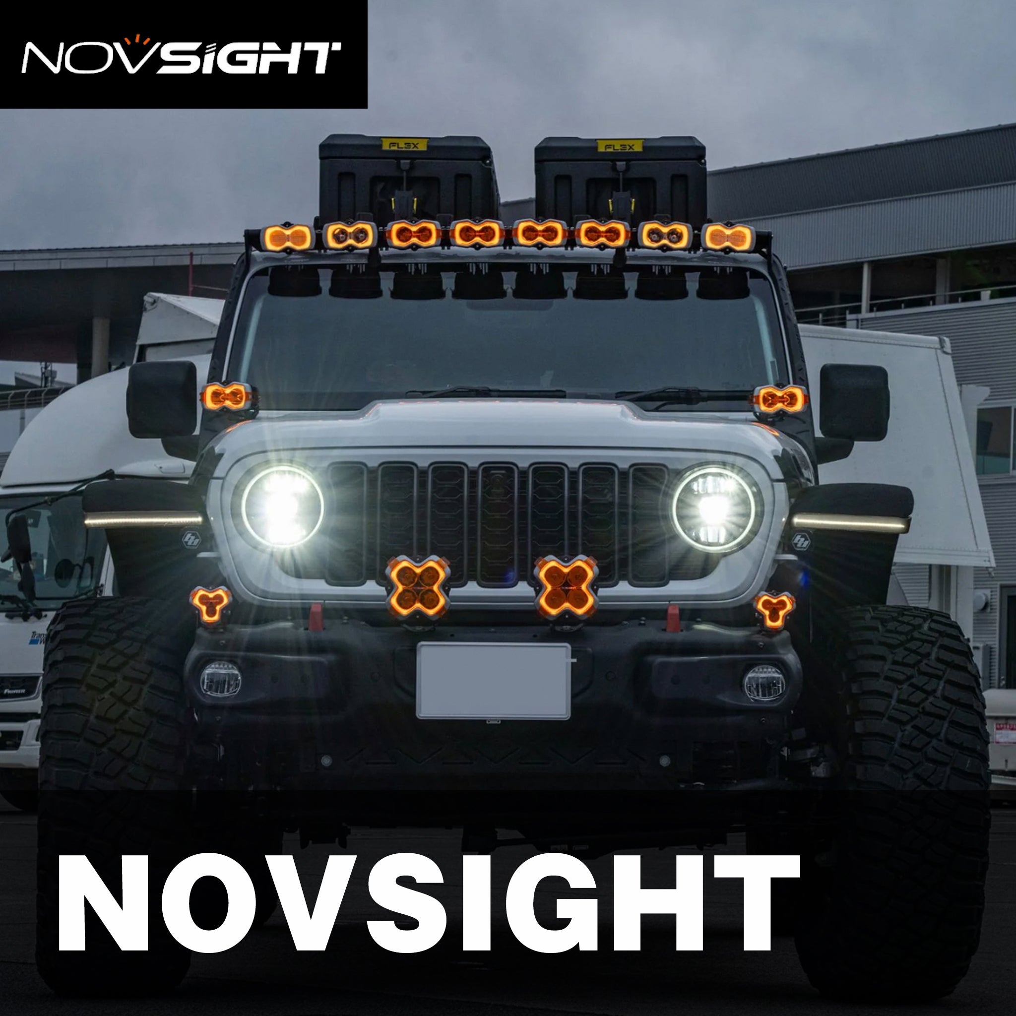 NOVSIGHT – WAVY LIFE